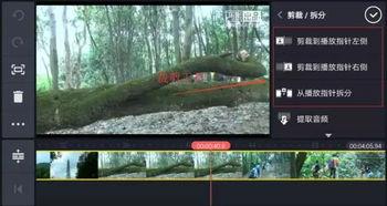 吃瓜神器怎么做视频剪辑,轻松制作视频剪辑的秘诀解析