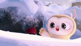 吃瓜比赛直播视频,直播带你领略吃瓜比赛的魅力瞬间