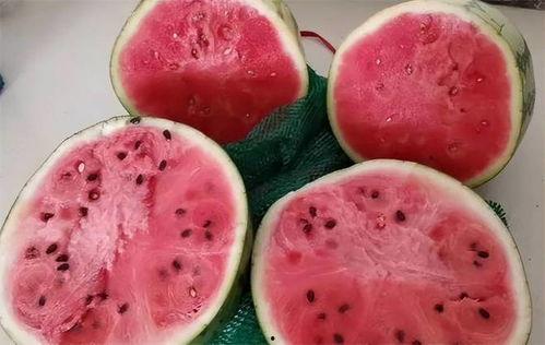 麒麟瓜就该挖着吃吗视频,揭秘挖着吃的独特魅力