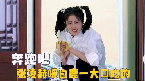 圈内人吃瓜白鹿视频,圈内人吃瓜背后的真相