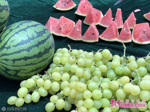 山东吃瓜视频高清,高清视角下的美食盛宴