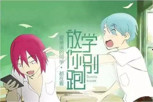 吃瓜视频讲故事,吃瓜群众视角下的娱乐圈风云录