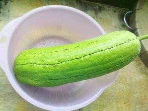 水瓜怎么做好炒着吃视频,家常美味轻松学