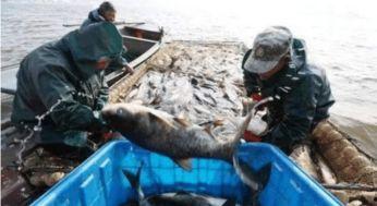 军演渔民吃瓜视频,渔民视角下的“吃瓜”奇观