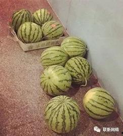 吃瓜来一波视频,揭秘热门视频背后的故事